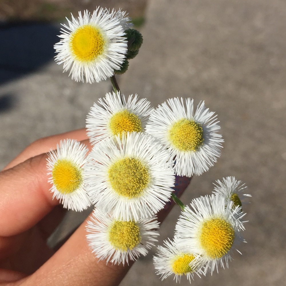 Meet your Posher, Mariah